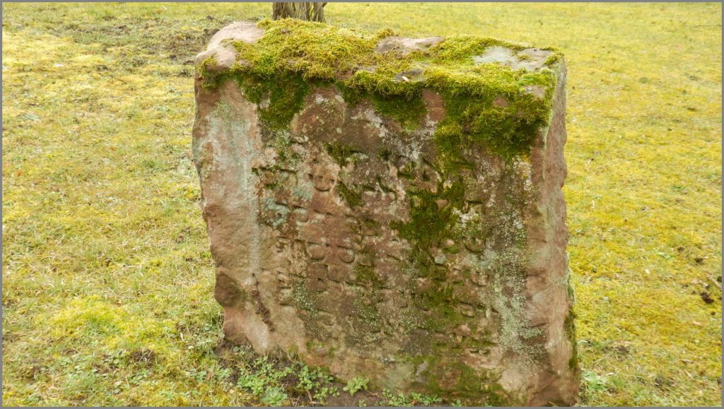 Literatur und Bilder zum Friedhof Mainz am Judensand Jüdische